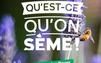Qu&rsquo;est-ce qu&rsquo;on sème !