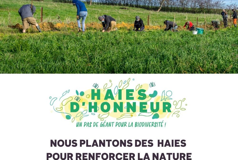 Haies d’honneur