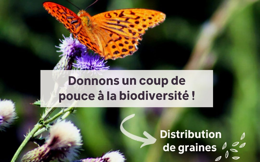 Qu’est-ce qu’on sème !