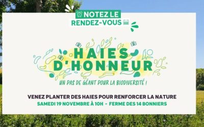 Haies d&rsquo;honneur